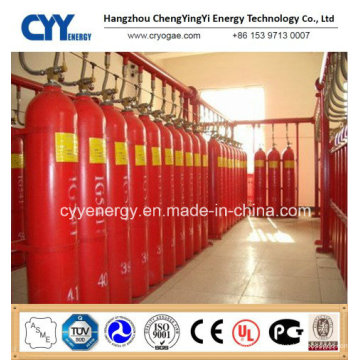 Cilindro de gas de CO2 de acero inoxidable sin soldadura con diferentes capacidades